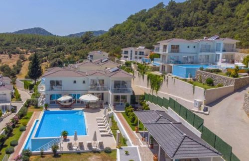 property turkey